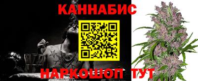 ГАЛЛЮЦИНОГЕННЫЕ ГРИБЫ Кингисепп