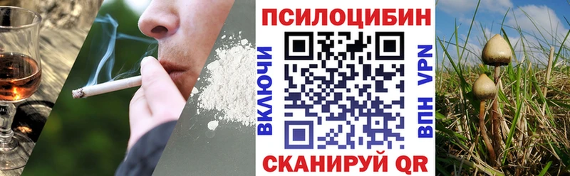 Галлюциногенные грибы Psilocybe  Мурино 