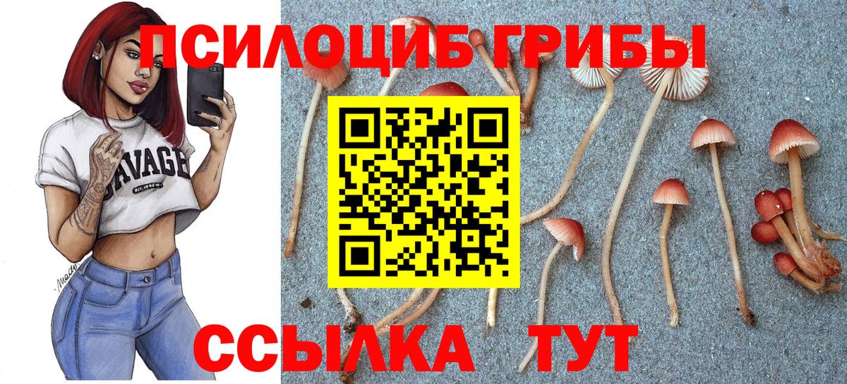 Мурино  Вход с VPN  ГАШИШ  Alpha PVP СОЛЬ кристаллы  MDMA  Меф кристаллы  Конопля  Cocaine  Гашиш  Канабис 
