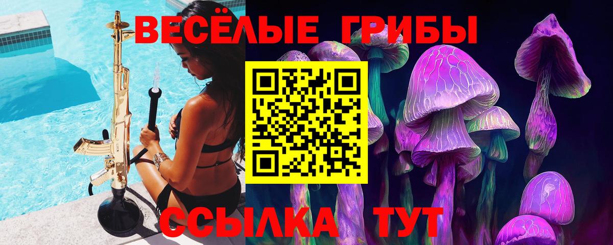 Галлюциногенные грибы мицелий Мурино