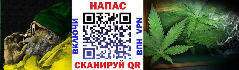 блэк спрут зеркало  купить наркотик  Мурино  Марихуана индика 